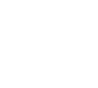 Joy For Horses